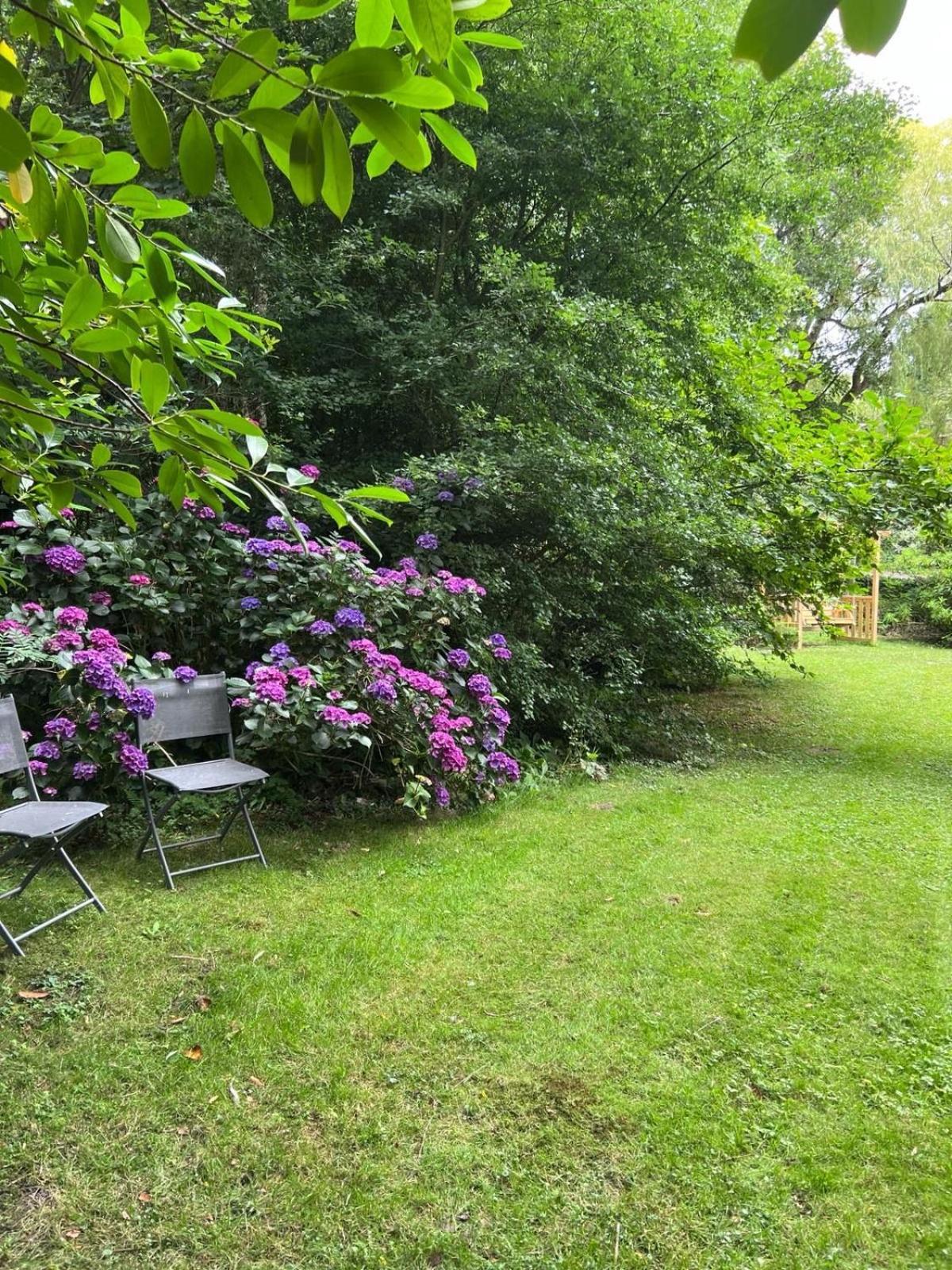 The Mill Lodge Helston Extérieur photo
